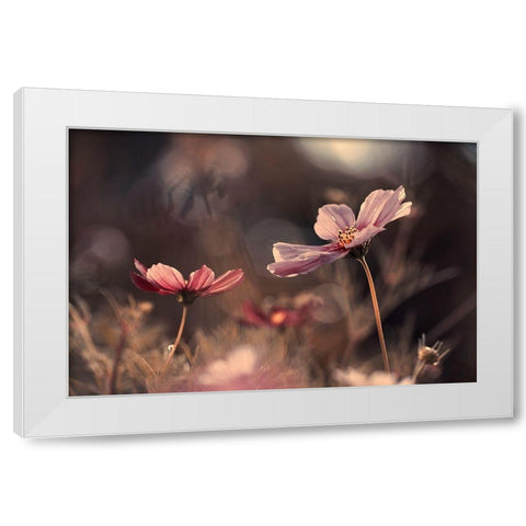 Flowers Of Innocence White Modern Wood Framed Art Print by Bravin, Fabien