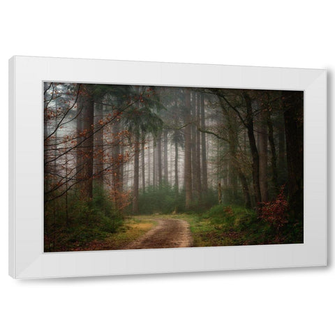 Reveries White Modern Wood Framed Art Print by Borggreve, Ellen