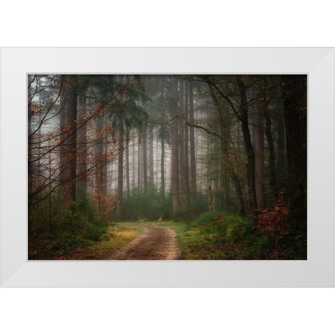 Reveries White Modern Wood Framed Art Print by Borggreve, Ellen