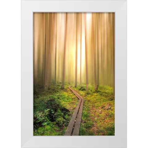 Into The Light White Modern Wood Framed Art Print by Lindsten, Christian