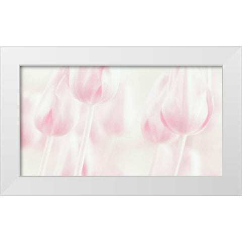 Softness White Modern Wood Framed Art Print by Devos, Delphine