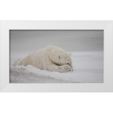 Now You See Me White Modern Wood Framed Art Print by Catta, Alessandro