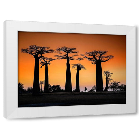 Sunset In Morondava White Modern Wood Framed Art Print by Ren Rong, Raymond
