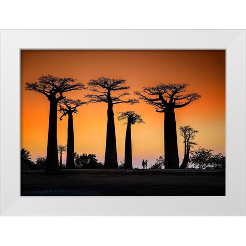 Sunset In Morondava White Modern Wood Framed Art Print by Ren Rong, Raymond
