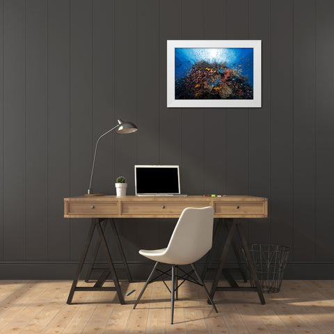 Life Explosion White Modern Wood Framed Art Print by Gabriel, Barathieu