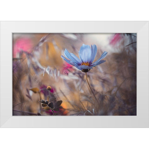 Things That Flowers Tell White Modern Wood Framed Art Print by Bravin, Fabien