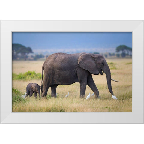 Life White Modern Wood Framed Art Print by Feng, Young