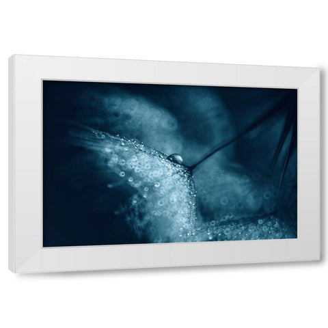 Blue Dandelions White Modern Wood Framed Art Print by Blagoeva, Ivelina