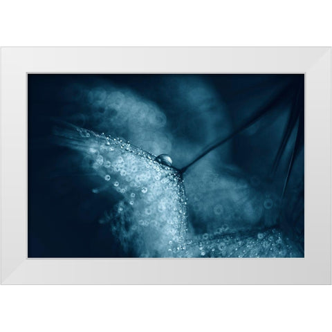 Blue Dandelions White Modern Wood Framed Art Print by Blagoeva, Ivelina