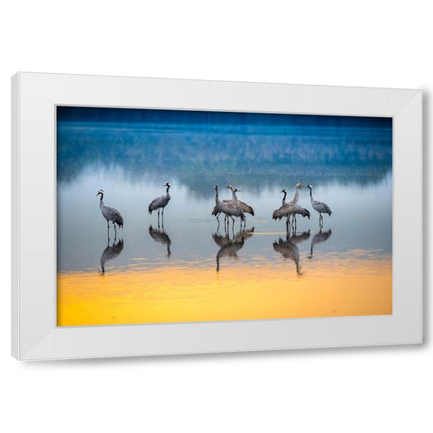 Untitled White Modern Wood Framed Art Print by Amer, Eyal