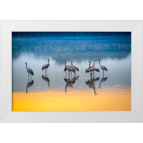 Untitled White Modern Wood Framed Art Print by Amer, Eyal