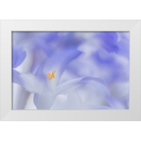 Blue Waves White Modern Wood Framed Art Print by De Hoog, Roelof