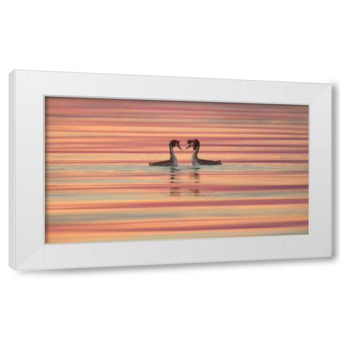 Lovers White Modern Wood Framed Art Print by Marchegiani, Roberto