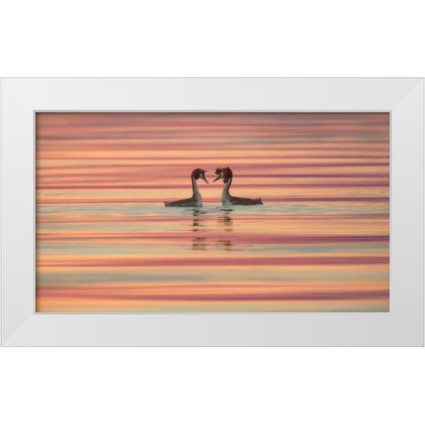 Lovers White Modern Wood Framed Art Print by Marchegiani, Roberto