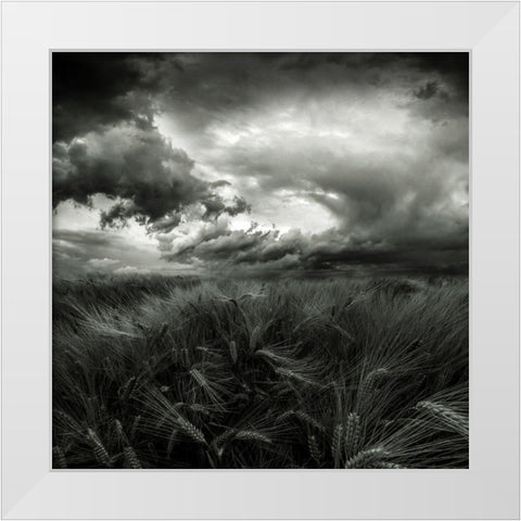 After The Storm White Modern Wood Framed Art Print by Pfleghart, Franziskus