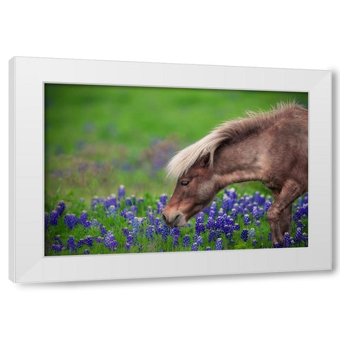 Spring Is In The Air... White Modern Wood Framed Art Print by Zheng, Michael