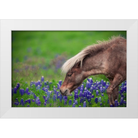Spring Is In The Air... White Modern Wood Framed Art Print by Zheng, Michael
