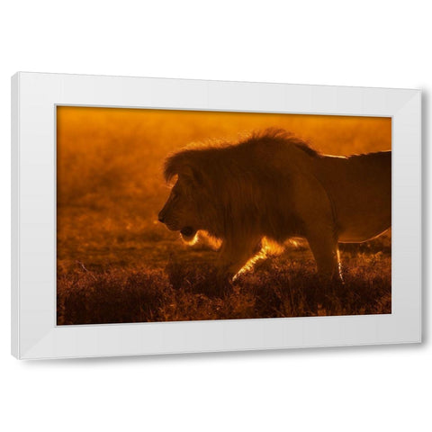Shiny King White Modern Wood Framed Art Print by Alnaser, Mohammed