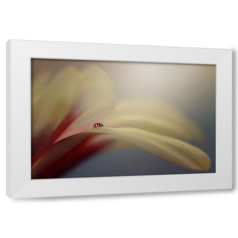 The Journey White Modern Wood Framed Art Print by Pamungkas, Edy