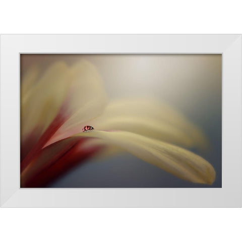 The Journey White Modern Wood Framed Art Print by Pamungkas, Edy