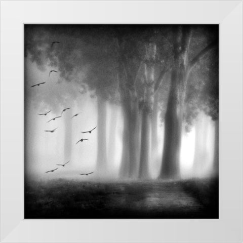 Morning Trees White Modern Wood Framed Art Print by Van Bijnen, Jacqueline