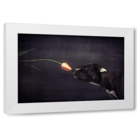First Approach - Hildegard And The Tulip White Modern Wood Framed Art Print by Willers, Heike