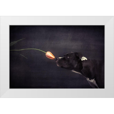 First Approach - Hildegard And The Tulip White Modern Wood Framed Art Print by Willers, Heike