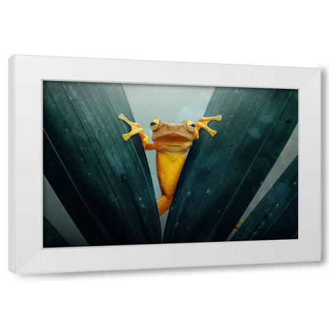 Gold Frog White Modern Wood Framed Art Print by Priyadi, Andri