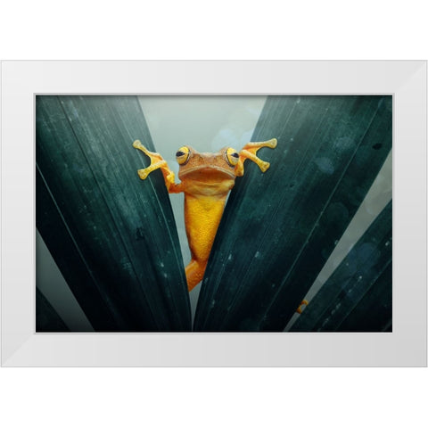 Gold Frog White Modern Wood Framed Art Print by Priyadi, Andri