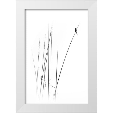 A Sabbatical White Modern Wood Framed Art Print by Swapnil