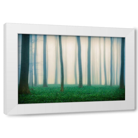 Daydreaming Of Bluebells White Modern Wood Framed Art Print by Popan, Adrian