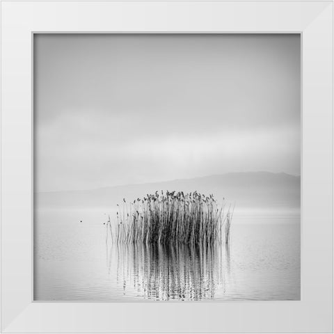 Morning Silence White Modern Wood Framed Art Print by Digalakis, George