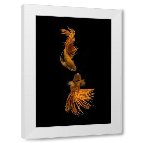 Love Story Of The Golden Fish White Modern Wood Framed Art Print by Rahayu, Ganjar