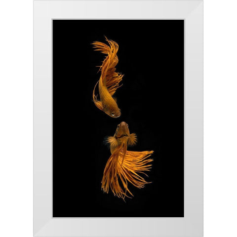 Love Story Of The Golden Fish White Modern Wood Framed Art Print by Rahayu, Ganjar