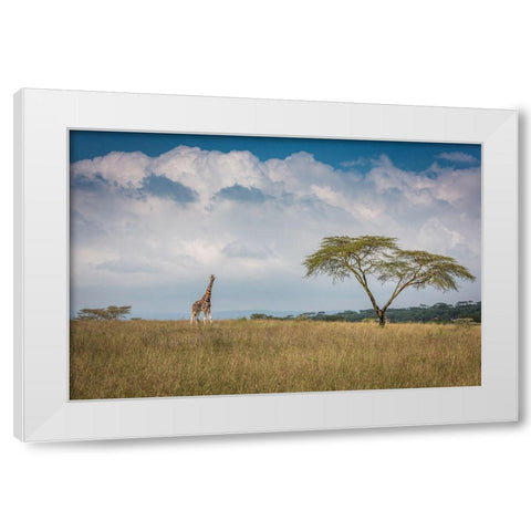 Qeast Africaq White Modern Wood Framed Art Print by C. Sink, Jeffrey