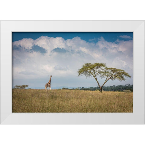 Qeast Africaq White Modern Wood Framed Art Print by C. Sink, Jeffrey