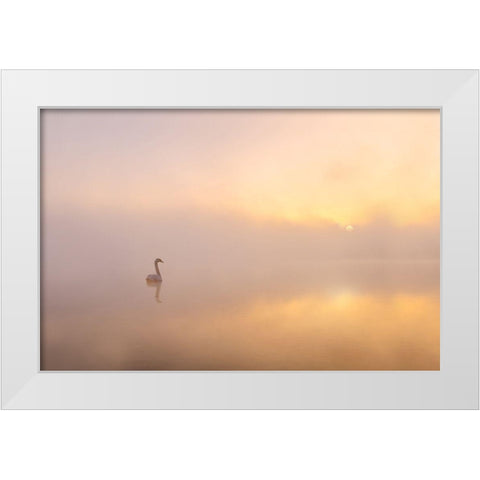 Misty Morning White Modern Wood Framed Art Print by Gritzmann, Katarzyna