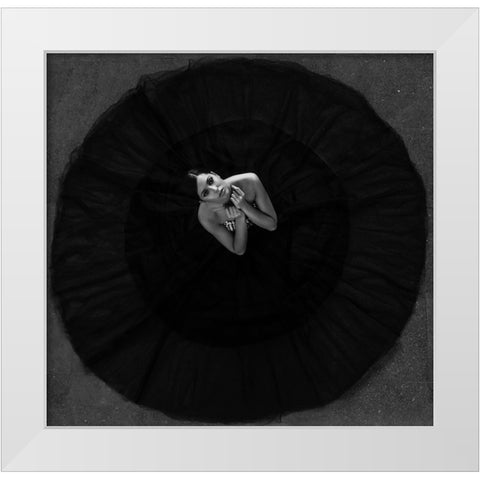 Black Swan White Modern Wood Framed Art Print by Krystynek MQEP, Martin