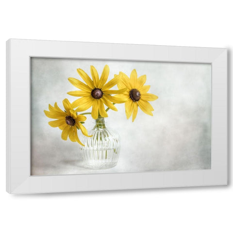 Rudbeckia White Modern Wood Framed Art Print by Disher, Mandy