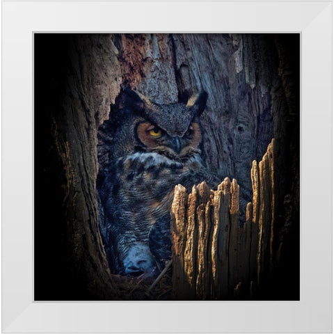 Hide And Seek White Modern Wood Framed Art Print by Cheng, Yu