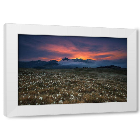 Blooming Dawn White Modern Wood Framed Art Print by Manzoni, Michel