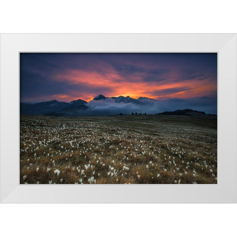 Blooming Dawn White Modern Wood Framed Art Print by Manzoni, Michel