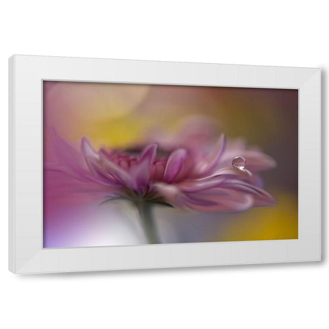 Beyond Words... White Modern Wood Framed Art Print by Nan, Juliana