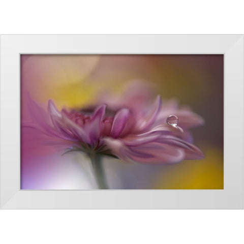 Beyond Words... White Modern Wood Framed Art Print by Nan, Juliana