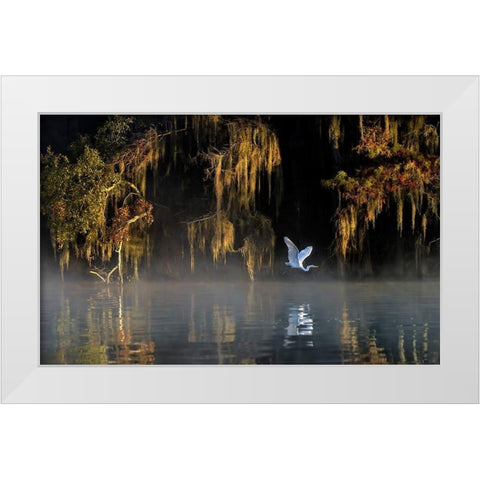 Egret White Modern Wood Framed Art Print by Zhu, Hua