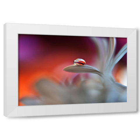 Happy Colors White Modern Wood Framed Art Print by Westum, Heidi