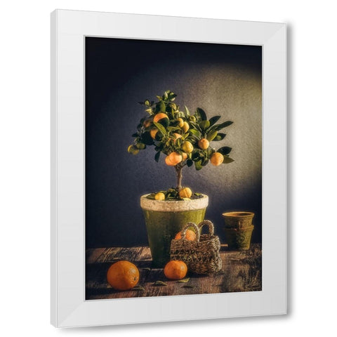 Winter White Modern Wood Framed Art Print by Al-Dien Mahmoud, Nour