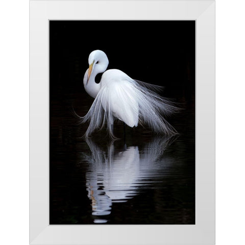 Watching White Modern Wood Framed Art Print by Li, Ben