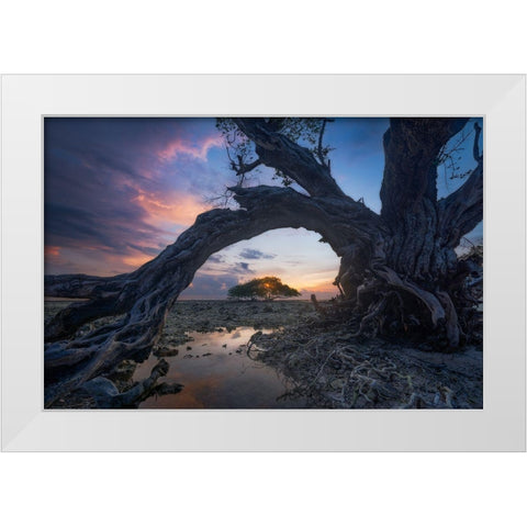 Dry White Modern Wood Framed Art Print by Rizal, Ade