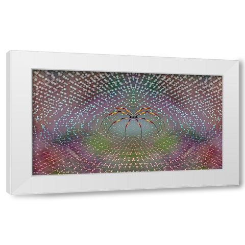 Spider White Modern Wood Framed Art Print by Thomopoulos, Thomas